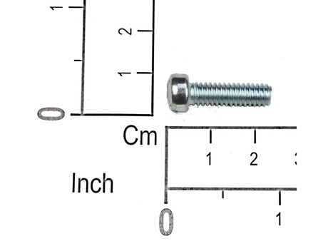 0836V521 SCREW