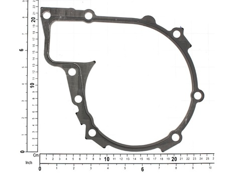 21795852 GASKET