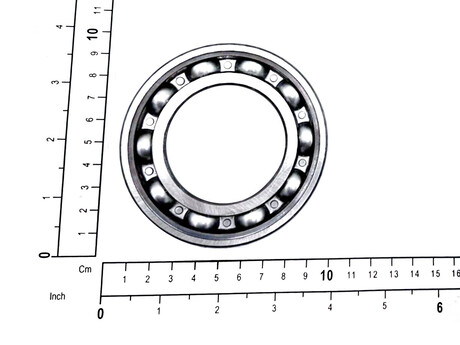 244093 BEARING