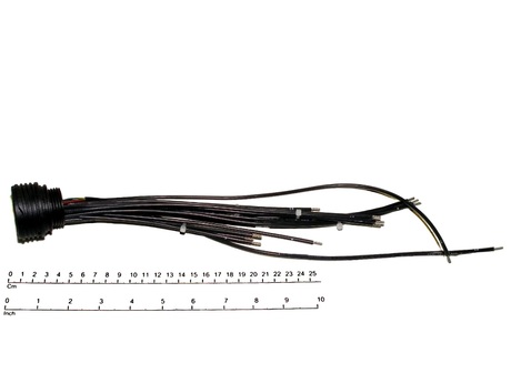 3000001146 WIRE HARNESS