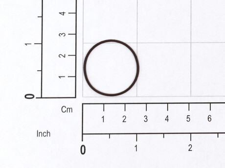 4204245 O-RING