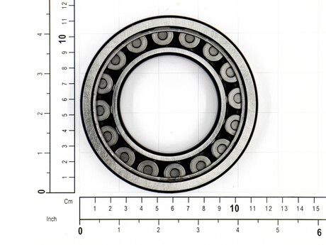 4206359 BEARING