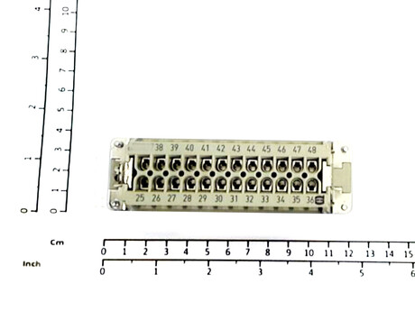 52420089 INSERT (FEMELLE)