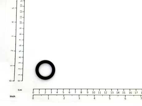 52484584 O-RING