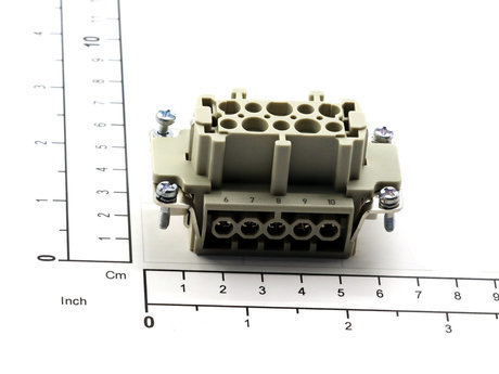 52496404 INSERT (FEMELLE)