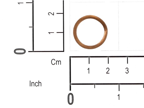 52769224 SEALING RING