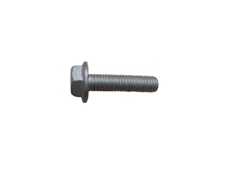 52819795 SCREW