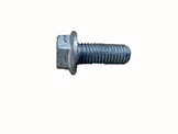 52819813 SCREW