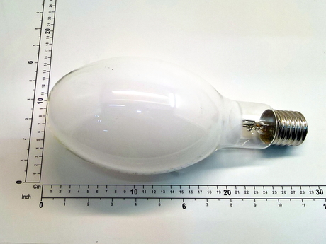 53863310 BULB