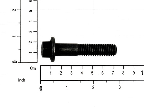 54101541 SCREW