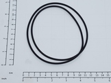 54116100 O-RING