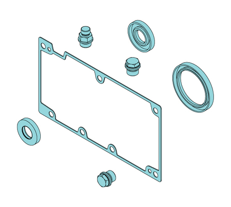 55464213 SEALING SET