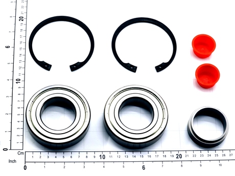 55501788 BEARING SET