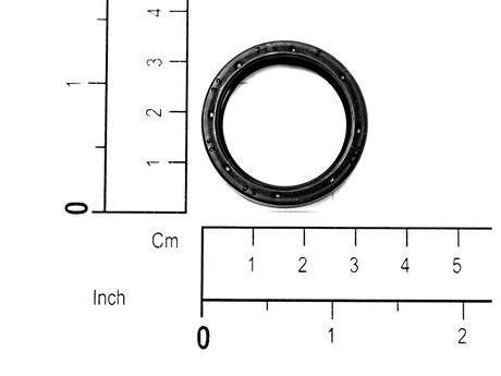 60010306 SEALING