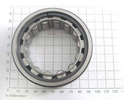 60011825 BEARING