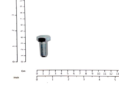 760911 SCREW