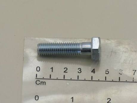 813169 PACKAGE OF SCREWS