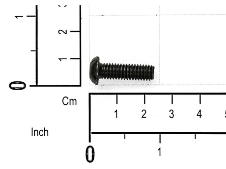 813725 SCREW