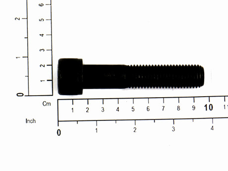 813949 SCREW