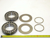 P6DC021 BEARING SET