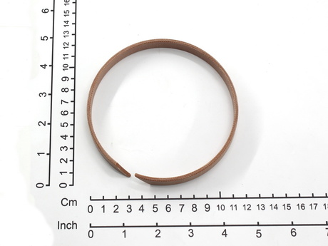 V0036984 GUIDE RING